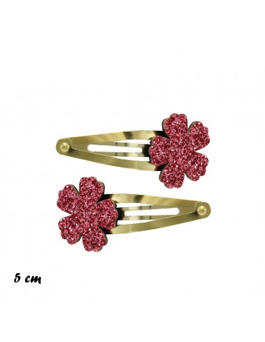 Clic Clac Bimba - 123-909 Confezione 10 coppie | Vendita Ingrosso Fermacapelli e Bigiotteria